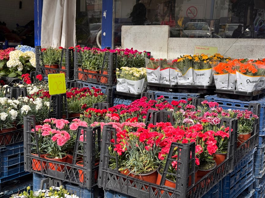 An outdoor display of various potted flowering plants arranged on black plastic crates and blue pallets outside a flower shop. The arrangements include vibrant pink, red, white, yellow, and orange blo